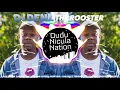 DJ DENZ The Rooster - Why We Fighting Bass Boosted