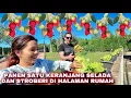 Download Lagu 🥬🍓PANEN SATU KERANJANG SELADA DAN STROBERI DI HALAMAN RUMAH🥬🍓
