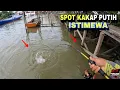 Download Lagu MANCING IKAN KAKAP PUTIH DI SPOT TIANG-TIANG KAPAL