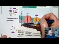 Bio 40A Lab Study Guide 2 Session 1