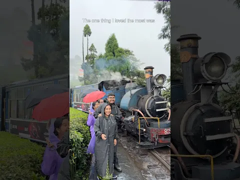 Darjeeling Tour Vlog | একজন সাধারণ গৃহবধূর প্রথম দার্জিলিং ভ্রমণ | Oldays Kitchen #shorts