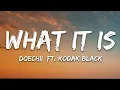 Download Lagu Doechii - What It Is (Lyrics) ft. Kodak Black