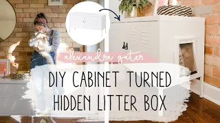 DIY Cabinet To Hide Cat Litter Box In A Small Space Pet Tips