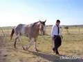 Horacio Guarany - Caballo que no Galopa