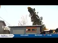 The winds in Anchorage were in intense on Monday with damage reported in some neighborhoods