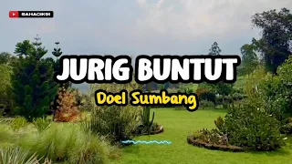 Download JURIG BUNTUT - DOEL SUMBANG MP3