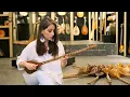 Download Lagu High Quality Iranian Setar String Instrument By Zolghadr ZS-302