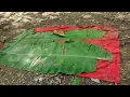 Download Lagu KUTUKAN BUNDA ROKID DUA RONGGENG BERUBAH MENJADI DAUN PISANG ‼️‼️