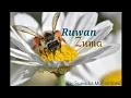 Download Lagu RUWAN ZUMA....01