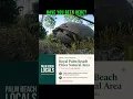 A Royal Palm Beach secret with 773 free acres of eagles cranes and Florida scrub