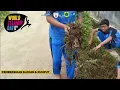 Download Lagu World cleanup day 