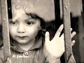 Bi gönlüne ben sığmadım - HiraiZerdüş ⁴³²