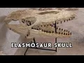 Download Lagu The Apex Predator of the Cretaceous: Unboxing a Monster Mosasaur Skull