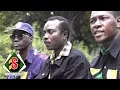 Download Lagu Africando - Gombo Salsa (feat. Nicolas Menheim) [Clip officiel]