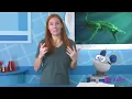Sea Monsters Of The Past | SciShow Kids