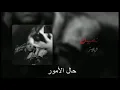 Wegz nossien  ويجز نصين بالكلمات