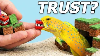 I Rescued The Fish That Plays Minecraft In Real Life