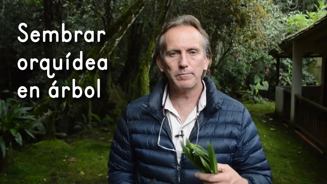 CÓMO SEMBRAR UNA ORQUÍDEA EN UN ÁRBOL
