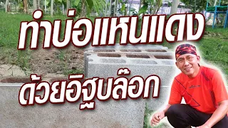 วิธีทำบ่อแหนแดง ด้วยอิฐบล๊อค แบบง่าย @krusawat