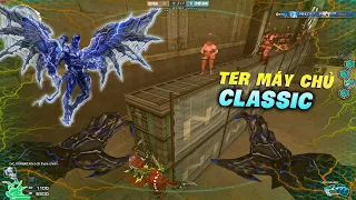 Ter bay như chym tại sever CF classic