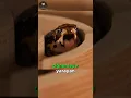 Download Lagu Kurbağalar Nasıl Gözleriyle Yutkunur? 🐸👀😋