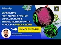 PyMOL Tutorial Create High-Quality Protein Visualizations Interaction Maps for Publications