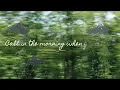 Sunny Day - Beabadoobee Lyric Video