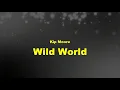Kip Moore - Wild World (Lyrics)