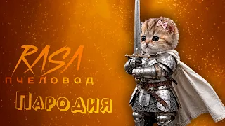ПЕСНЯ про КОТ РЫЦАРЬ мем клип Rasa - Пчеловод ПАРОДИЯ на CAT KNIGHT