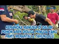 KERANGKA Manusia di Dalam Pohon Aren Diduga Pemuda yang Pamit Merantau 2 Tahun Lalu