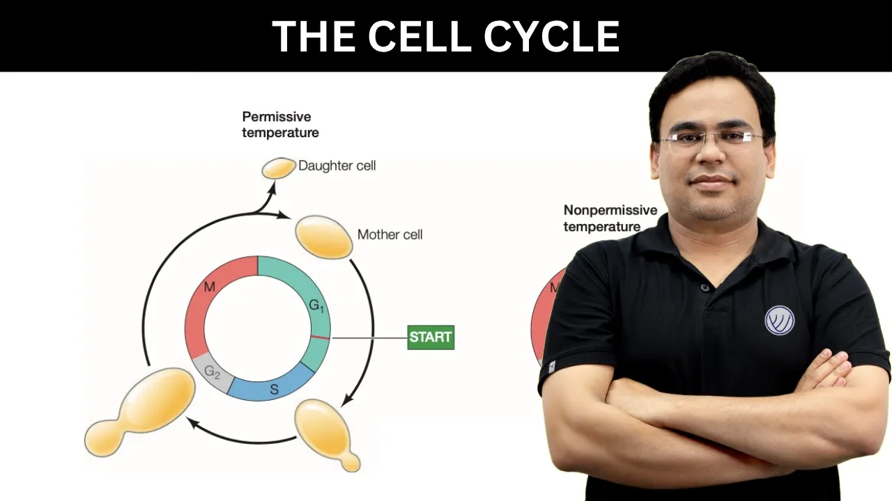 Eukaryotic Cell Cycle | Part I | CSIR NET LIFE SCIENCE | TNS CONCEPTS