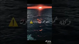 دى ماشيه شمال 