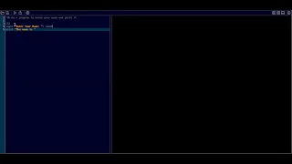 Write a program to enter your name and print it Basic