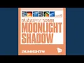 Download Lagu Moonlight Shadow (Matt Pop Club Mix)