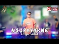 Download Lagu GILGA SAHID - NGUPAYAKNE (Official Live Music Video)