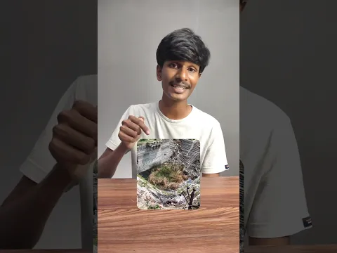 Cleaning a Historical Koneru