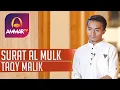 Download Lagu TAQY MALIK || SURAT AL MULK || MUROTTAL MERDU