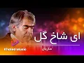 Download Lagu Ustad Sarban  - Ay Shakhe Gul     / استاد ساربان ای شاخ گل