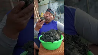 Ketawa bareng x47 komedi pinggiran viral