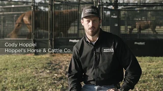 Hoppel s Horse Cattle Co