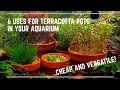 6 Uses for Terracotta Pots in Your Aquarium