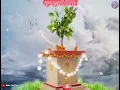 Lagu Shubh Tulsi Diwas || Tulsi Mata Tumhe Pranam || शुभ तुलसी दिवस || status short video 25 December