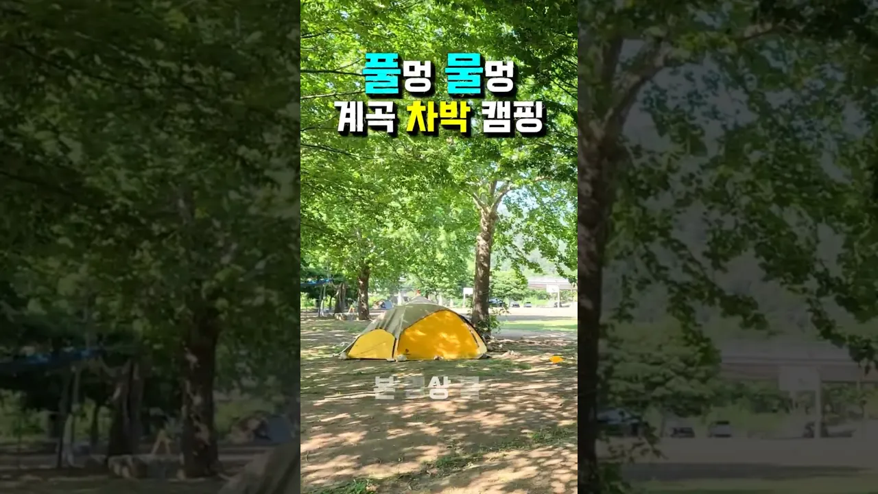차밖낚시 "풀멍"으로 눈과 가슴이 맑아진다는 나무그늘 캠핑 존 숲속 오토캠핑차박, 계곡텐트캠핑, 넓은 잔디광장, 청정 계곡 낚시투망, 충주 삼탄유원지 캠핑카여행 차박노지 탐방. サムネイル