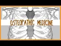 Review Course - Viscerosomatic Reflexes Autonomics