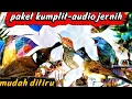 Lagu masteran kasar dan tajam | prenjak tiir, jangkrik, kapas tembak, cucak jenggot, gereja dan cililin