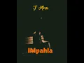 Download Lagu T Man ft Les Ma Ada Wise it's all good