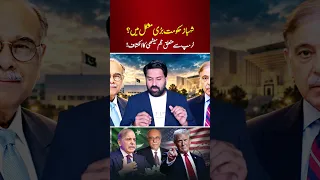   تصريح نجم سيثي الكبير حول ترامب دندنها