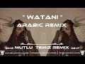 Mutlu Temiz - Watani (Arabic Remix)