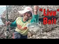 Download Lagu EPISODE 2 ; MISI MANCING IKAN BABON KE SPOT BARU UMPAN HIDUP || bari ngluyur mancing