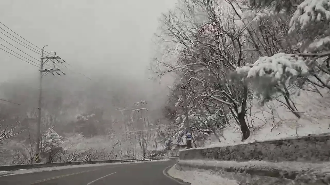 テグァルリョン古道 (ピョンチャン・カンヌン、456号)